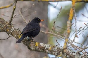 The Hilarious (& Painful) Truth About Common Mistakes in Exams