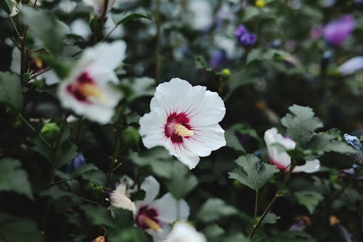 Unearthing Your Backyard’s Hidden Sanctuary: A Journey to a Garden Oasis